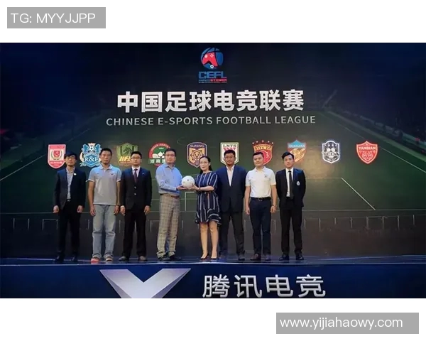 南京羽毛球队转型之路的挑战与机遇全景报道