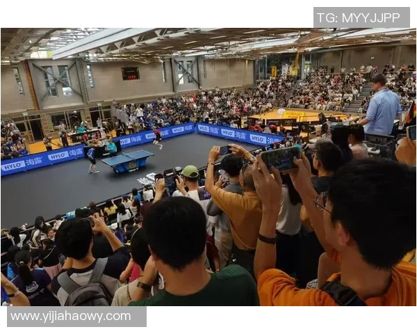 杭州排球队配合变革引发热议助力竞技水平提升与团队默契增强 杭州排球队配合变革引发热议助力竞技水平提升与团队默契增强