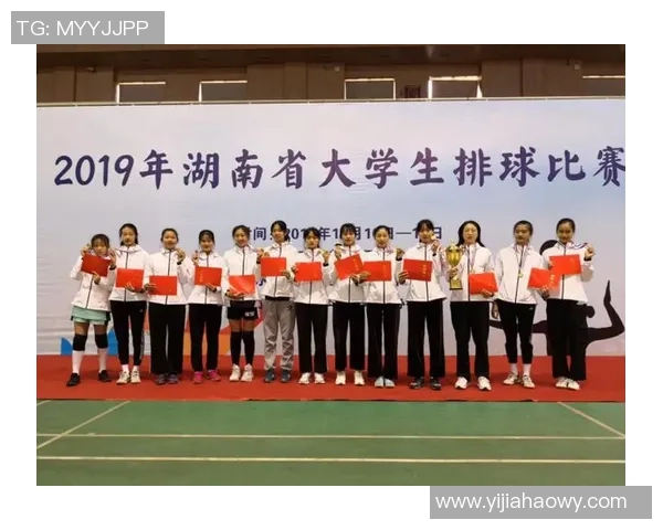 武汉排球队的崛起之路：从默默无闻到精英赛的辉煌历程