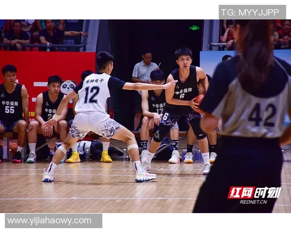 陈丽的篮球人生：从梦想起步到职业生涯的精彩旅程