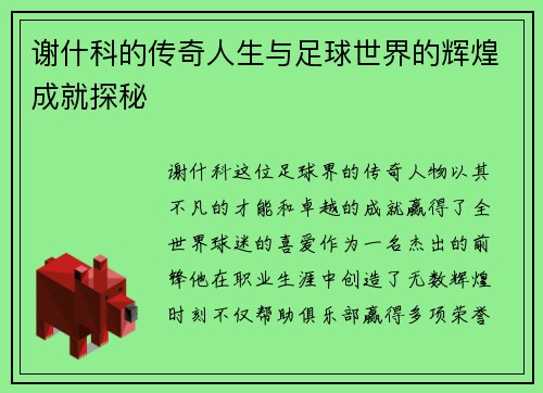 谢什科的传奇人生与足球世界的辉煌成就探秘